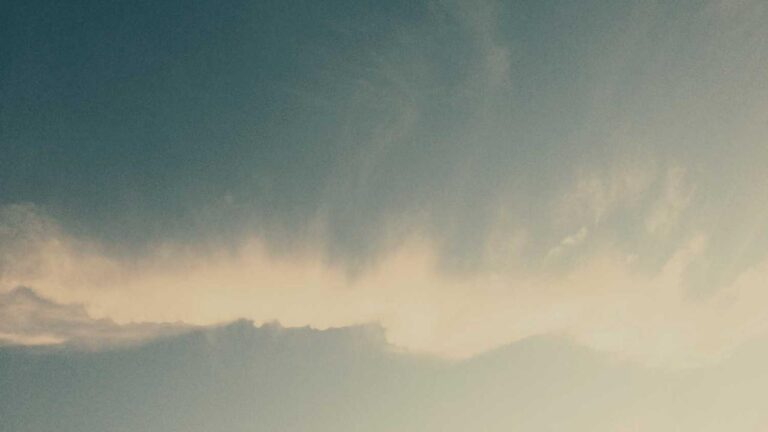 How To Generate A New 11Xplay Exchange Id Safely?